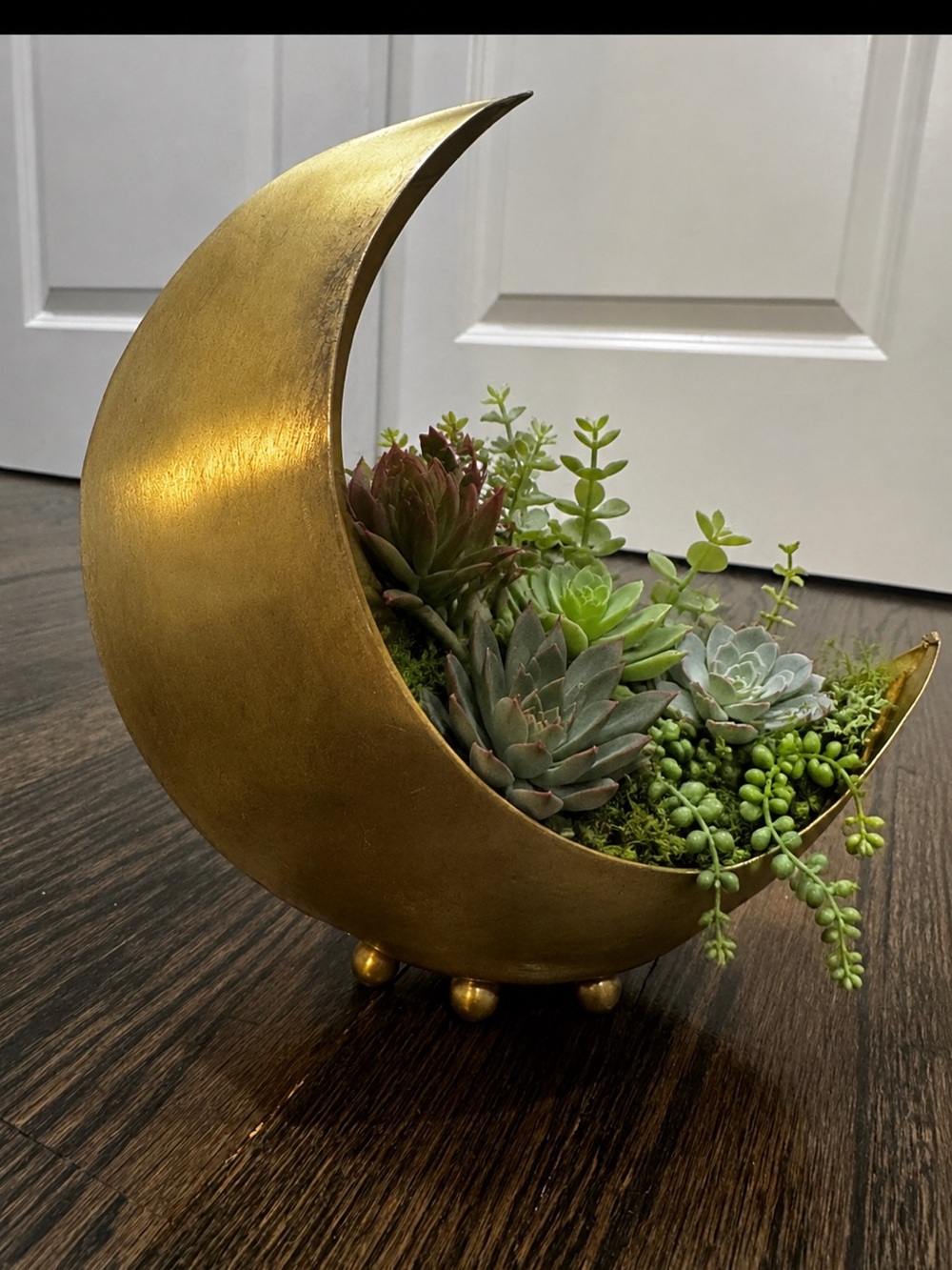 Crescent Moon Succulent Plant Holder Decoration
